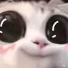 hongyixiu0