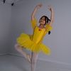 tata_ballerina