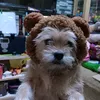 cute_cutetty