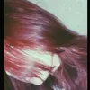 polixdn