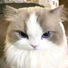 farr.shopid