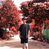 zayarhtut20
