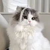 kj_ly0