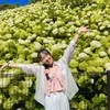 phuong090225