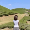 thai_huan