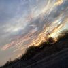 a_n_a_618