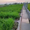 phan.vu.linh.95