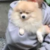 nhungle11122222