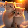 mochhiiiiiii123