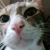 onlyzuzu19