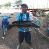suchatkongkoed2