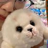 hong2001_baby