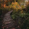 riku_satorini