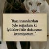 _arzu_423