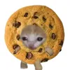 cookie._fs