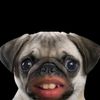niizzki
