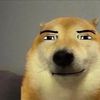 jitterbugking