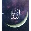 user085216268388