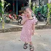 dy14t3x7qylu