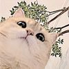 exlynnn_1204