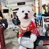 bumbungbu2022