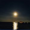 kf_1215