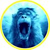 followeris.yt