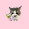 alfnnzwa_02