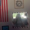 kaalexander19
