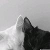 fixch14
