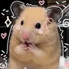 .vermicelli_