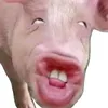 baonhattnam