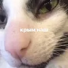 gh0ws