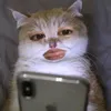 imjrnjk
