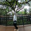 riny_004