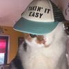 userkie260428