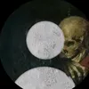 lookatitalpro