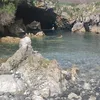 laiiieeeta02