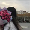 lana.hussein18