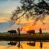 khongtenquendi1_t