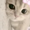 mariyapagasa