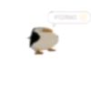 tricksters404