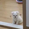ploynrp_