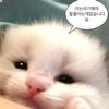 skssk_0607