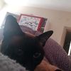 minorbutmajor_