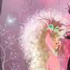 thewhimsywonderer