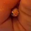 mangostickyrice_17
