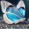 bluebutterfly647