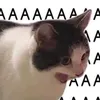 jwbbwjsbm