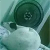 franciscasilva744